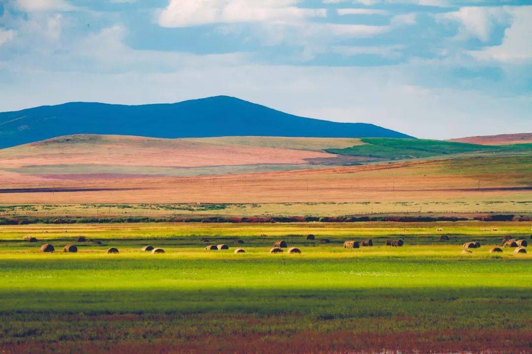 内蒙古独特风味探寻之旅，小巷中的美食秘境